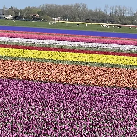 Casa de Férias Juliana *