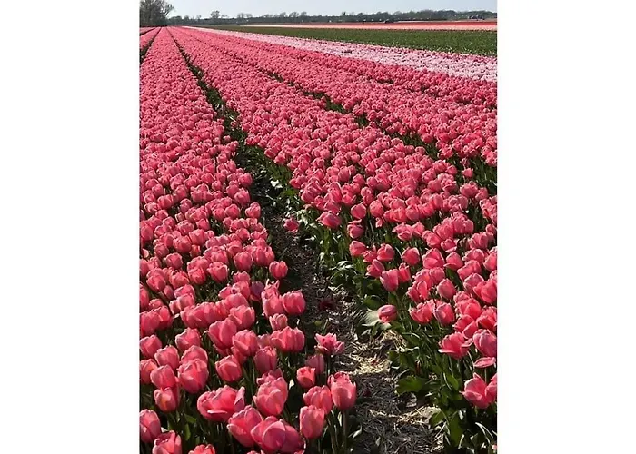 Juliana Дом отдыха